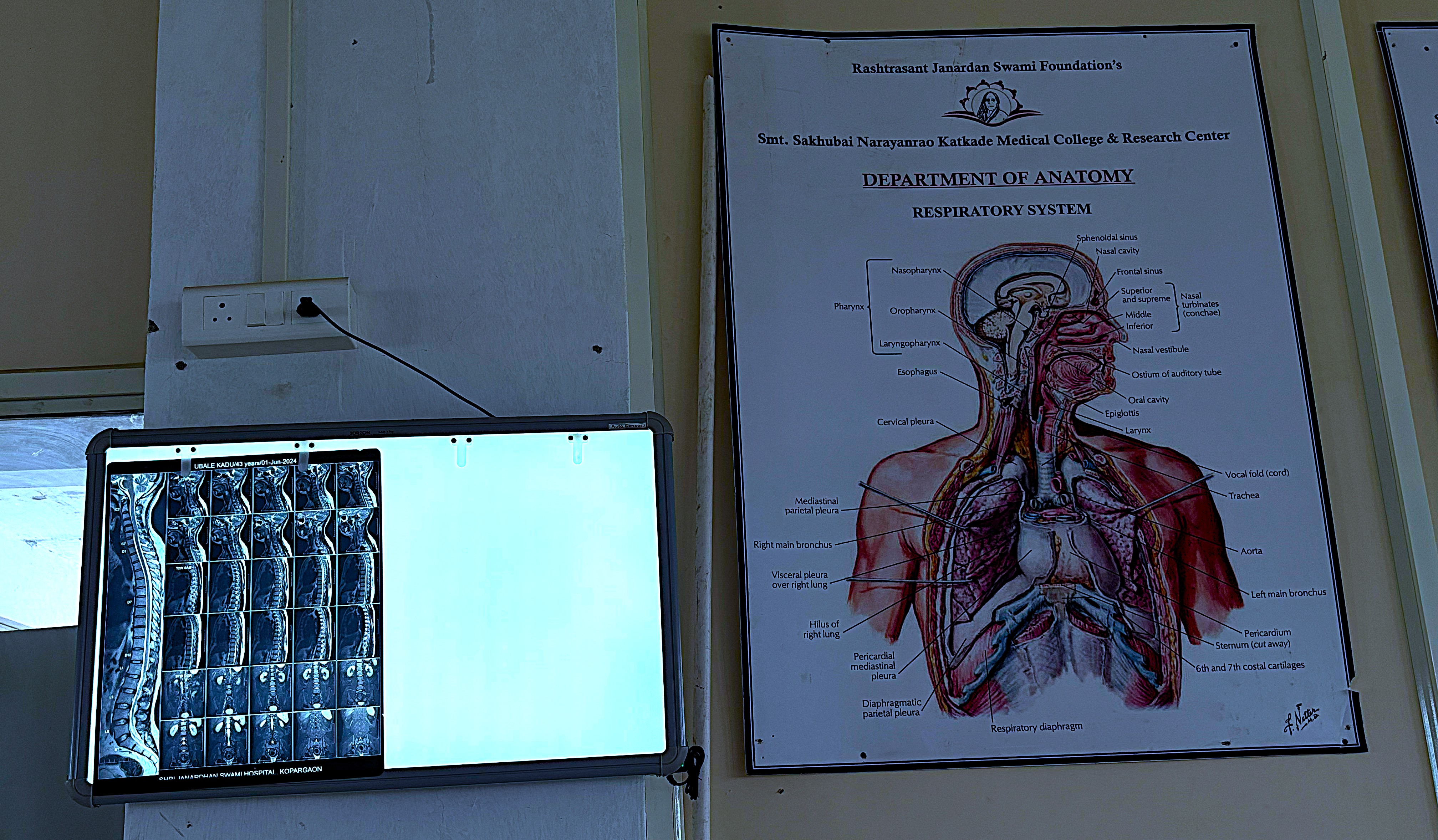 Anatomy Gallery
